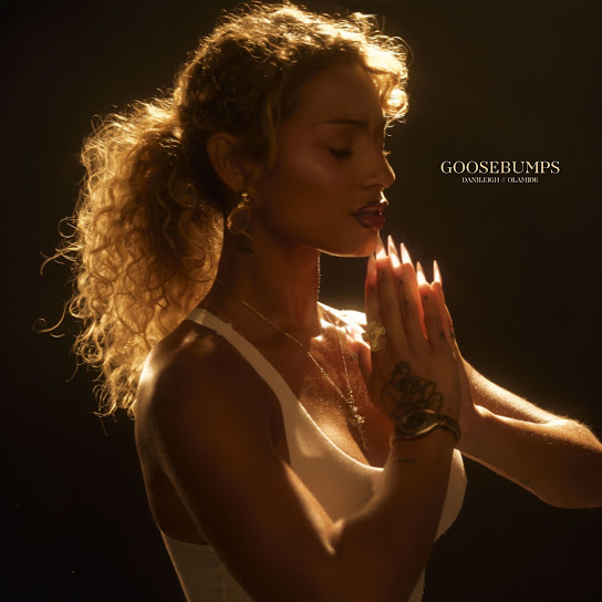 DaniLeigh – Goosebumps