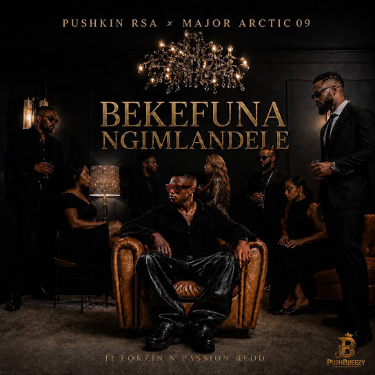 Pushkin RSA – BEKEFUNA NGIMLANDELE Pushkin RSA – BEKEFUNA NGIMLANDELE
