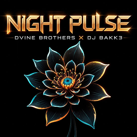 Dj Bakk3 – Night Pulse