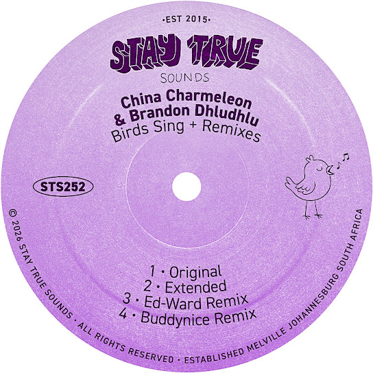 China Charmeleon – Birds Sing (Buddynice Remix)