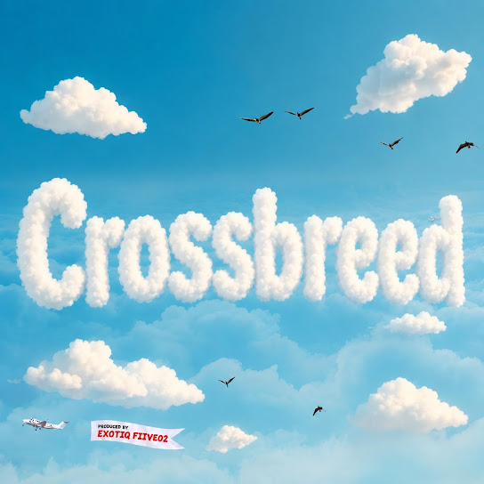 Exotiq Fiive02 – Crossbreed