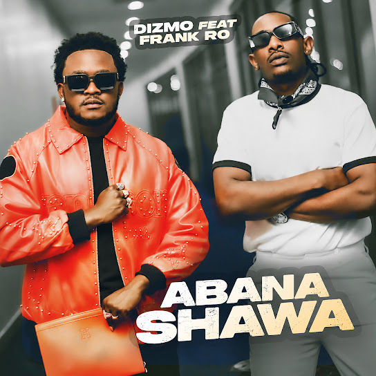 Dizmo – Abana Shawa