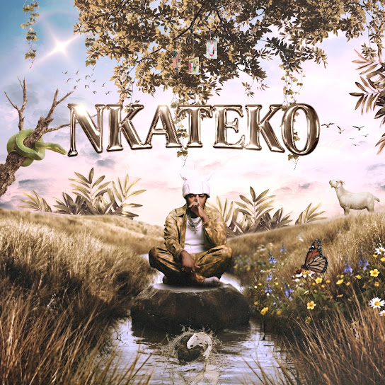MetroBeatz RSA – Suka Emabozeni
